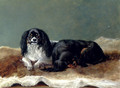 Two Kings Charles Spaniels - Ashburnham H. Bulley