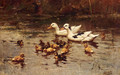 Ducks Having A Swim - Johannes Frederik Hulk