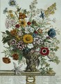 November, from 'Twelve Months of Flowers' - Pieter Casteels