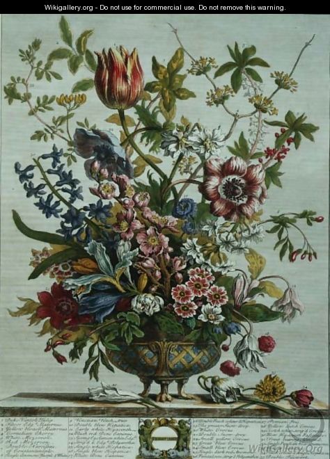 February, from `Twelve Months of Flowers - Pieter Casteels