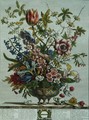 February, from `Twelve Months of Flowers - Pieter Casteels
