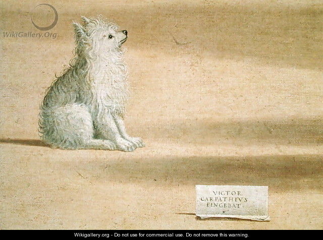 Vision of St. Augustine (detail of the dog) 1502-08 - Vittore Carpaccio
