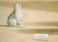 Vision of St. Augustine (detail of the dog) 1502-08 - Vittore Carpaccio