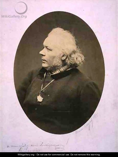 Portrait of Honore Daumier (1808-79), 1861 - Etienne Carjat