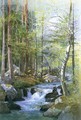 Torrent in Wood behind Mill Dam, Vahrn near Brixen, Tyrol - William Stanley Haseltine