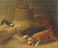 Rats amongst the Barley Sheaves - Thomas Hewes Hinckley