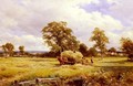 A Warwickshire Hayfield - David Bates