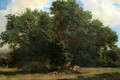 Oak Trees - Alexandre Calame