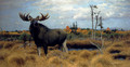 Elks In A Marsh Landscape - Wilhelm Kuhnert