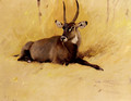 A Common Waterbuck - Wilhelm Kuhnert