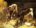 Calves Feeding - George W. Horlor