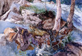 Study of the Rocks and Ferns, Crossmouth - John Ruskin