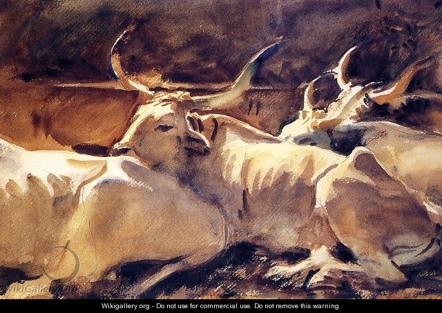 Oxen In Repose - John Singer Sargent