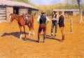 Buying Polo Ponies In The West - Frederic Remington