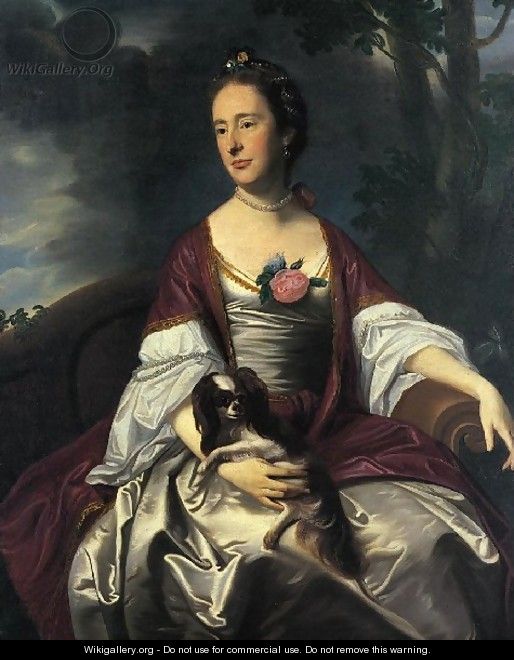 Mrs Jerathmael Bowers - John Singleton Copley